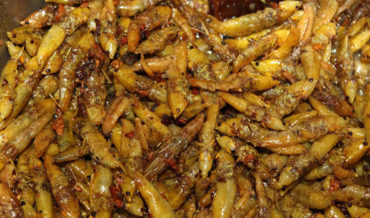 Nsenene (Grasshoppers)  – A Local Delicacy in Uganda
