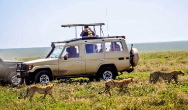 Best Safari Cars To Hire on a Road Trip to Uganda
