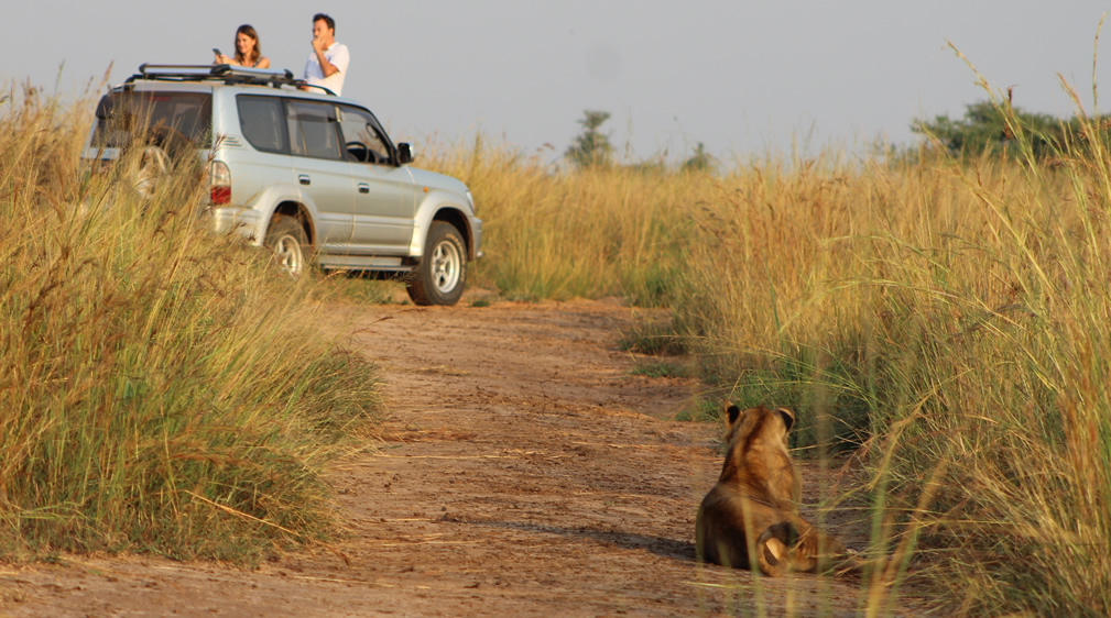 Self guided safari a new way of exploring Uganda